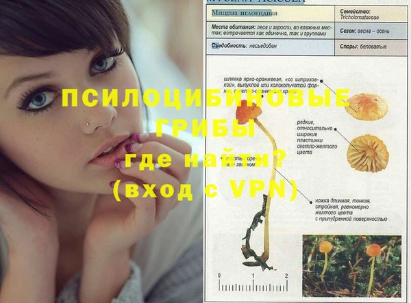 хмурый Балабаново