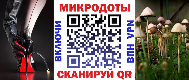 цена   OMG ссылки  Галлюциногенные грибы Cubensis  darknet наркотические препараты  Мурманск 